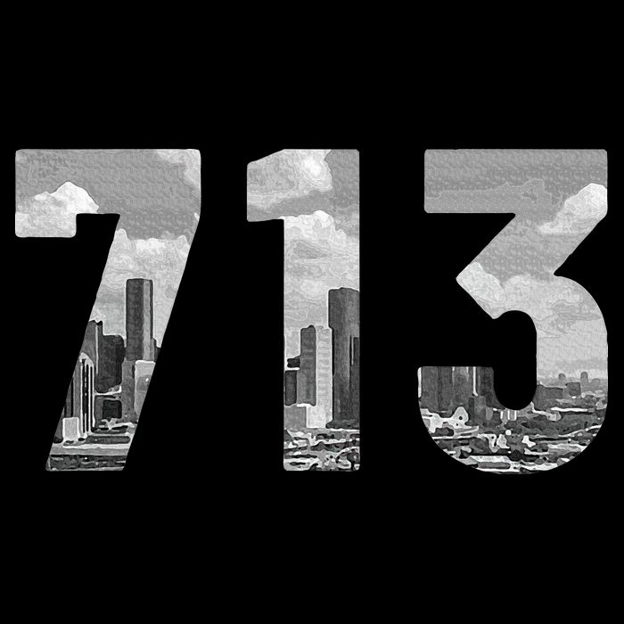 Houston 713 Area Code Skyline Texas Pride Vintage T-Shirt