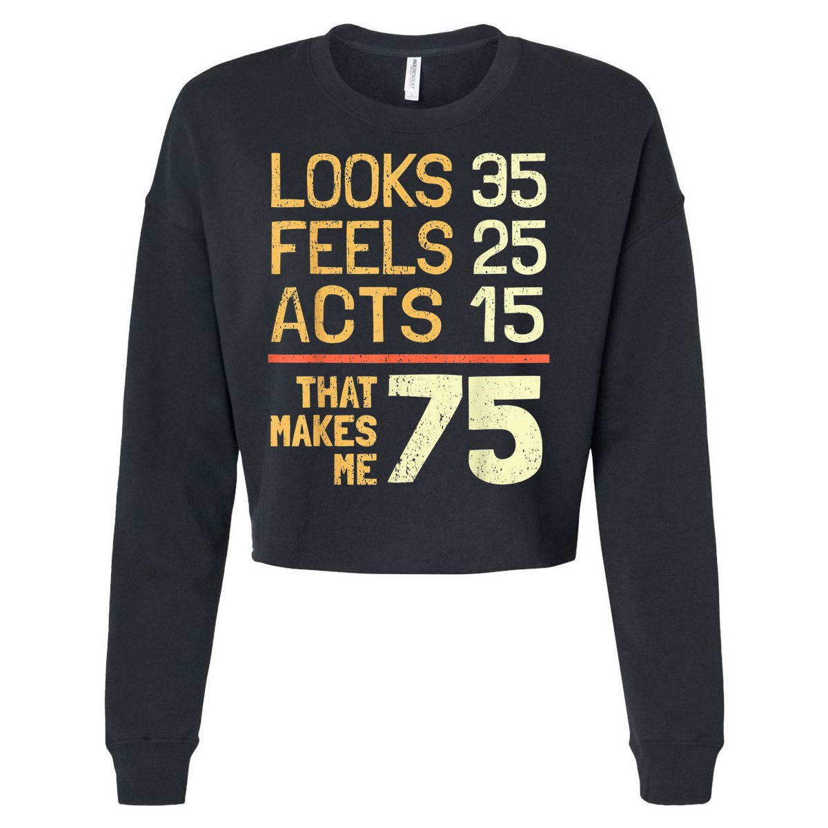 Hilarious 75th Birthday Idea I 75 Years Cropped Pullover Crew