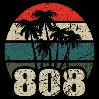 Hawaii 808 Oahu Waikiki Maui Kona Kauai Hawaiian Area Code Wool Snapback Cap