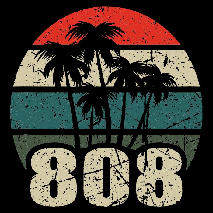 Hawaii 808 Oahu Waikiki Maui Kona Kauai Hawaiian Area Code Wool Snapback Cap