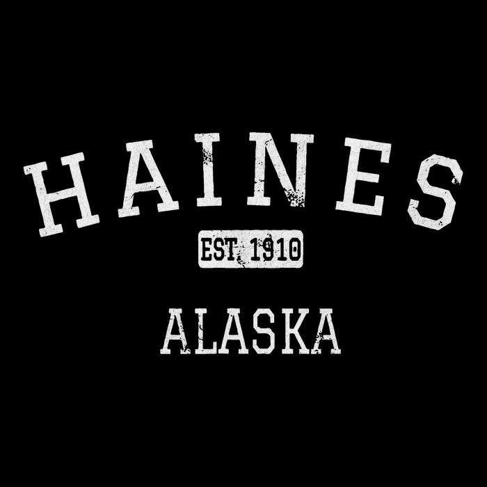 Haines Alaska Ak Vintage Cooling Performance Crew T-Shirt