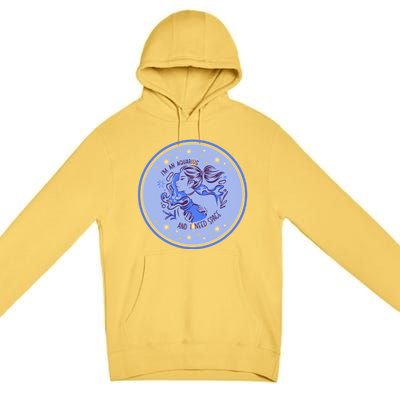 Horsocope Astrology Aquarius Gift Premium Pullover Hoodie