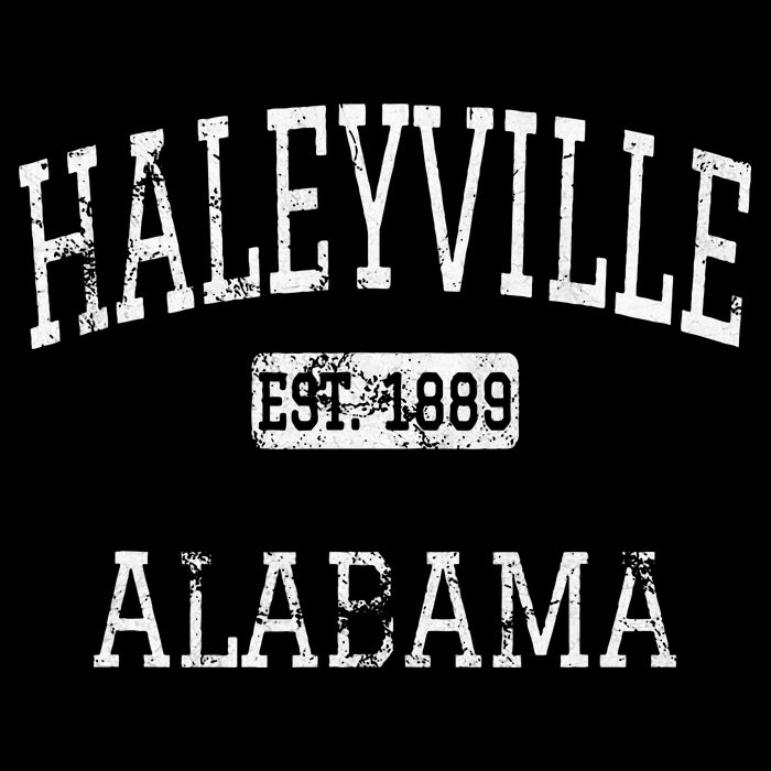 Haleyville Alabama Al Vintage Kids T-Shirt