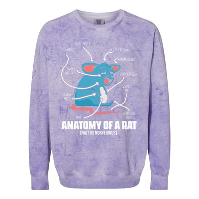 Humorous Animal Anatomy Rat Body Part For Rodent Lovers Meaningful Gift Colorblast Crewneck Sweatshirt