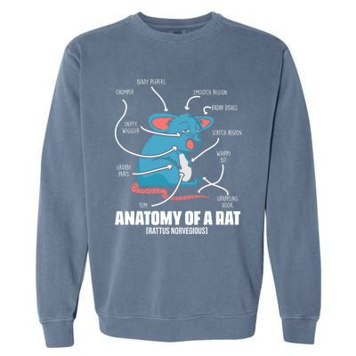 Humorous Animal Anatomy Rat Body Part For Rodent Lovers Meaningful Gift Garment-Dyed Sweatshirt