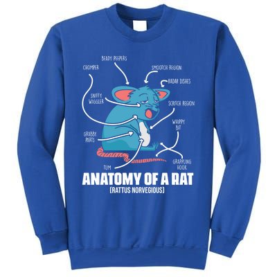 Humorous Animal Anatomy Rat Body Part For Rodent Lovers Meaningful Gift Sweatshirt