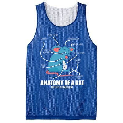 Humorous Animal Anatomy Rat Body Part For Rodent Lovers Meaningful Gift Mesh Reversible Basketball Jersey Tank