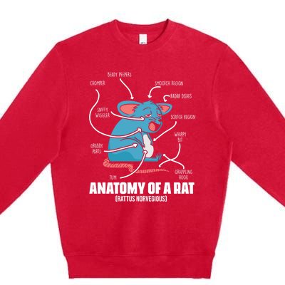 Humorous Animal Anatomy Rat Body Part For Rodent Lovers Meaningful Gift Premium Crewneck Sweatshirt