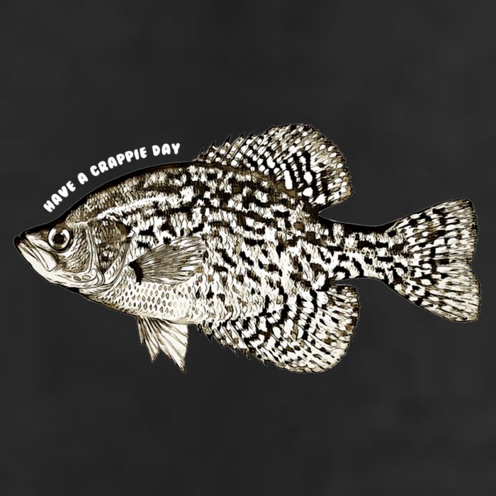 Have A Crappie Day Fishing Cool Gift Adult Drive Performance Visor