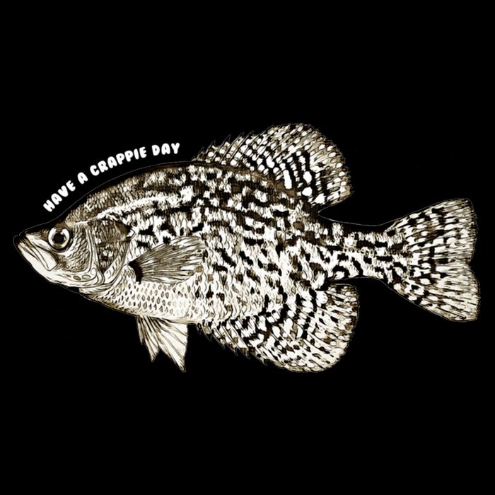 Have A Crappie Day Fishing Cool Gift Wool Snapback Cap
