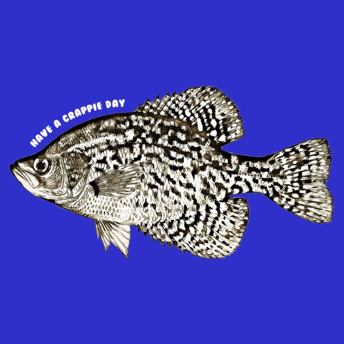 Have A Crappie Day Fishing Cool Gift Kids Hoodie