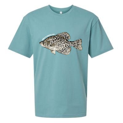 Have A Crappie Day Fishing Cool Gift Sueded Cloud Jersey T-Shirt