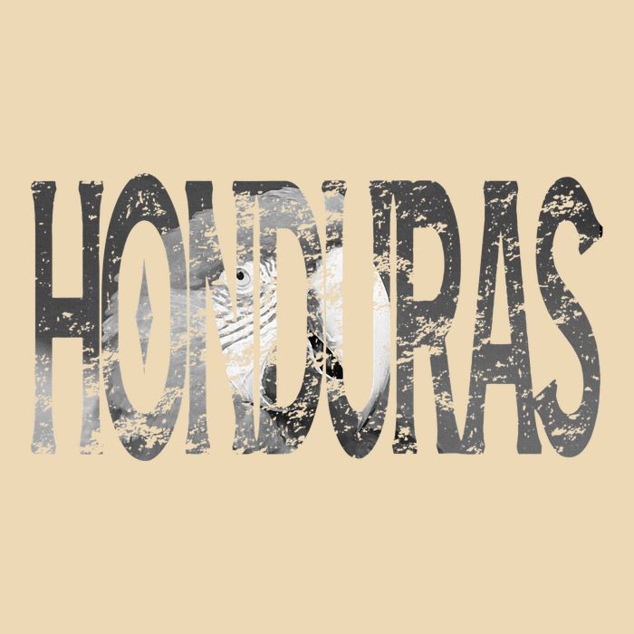 Honduras Art Concept Honduran Landscape HondureñO Bag