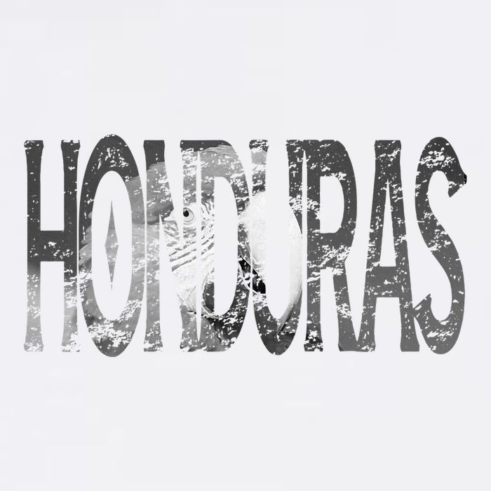 Honduras Art Concept Honduran Landscape HondureñO Womens Tank Top