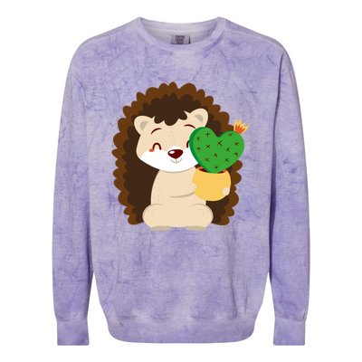 Hedgehog And Cactus Love Heart Cute Valentines Day Gift Colorblast Crewneck Sweatshirt