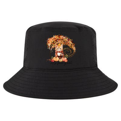 Hello Autumn Cat ItS Fall YAll Vibes Thanksgiving Coffee Cool Gift Cool Comfort Performance Bucket Hat