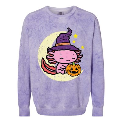 Halloween Axolotl Cute Fall Costume Colorblast Crewneck Sweatshirt