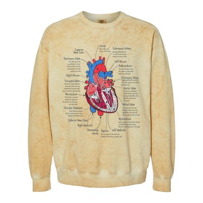 Heart Anatomy CVICU Nurse Cardiac Nurse Colorblast Crewneck Sweatshirt