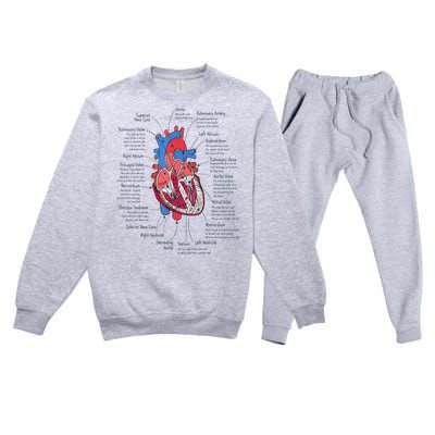 Heart Anatomy CVICU Nurse Cardiac Nurse Premium Crewneck Sweatsuit Set