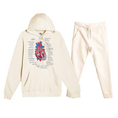 Heart Anatomy CVICU Nurse Cardiac Nurse Premium Hooded Sweatsuit Set