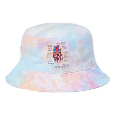 Heart Anatomy CVICU Nurse Cardiac Nurse Tie Dye Newport Bucket Hat