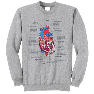 Heart Anatomy CVICU Nurse Cardiac Nurse Tall Sweatshirt