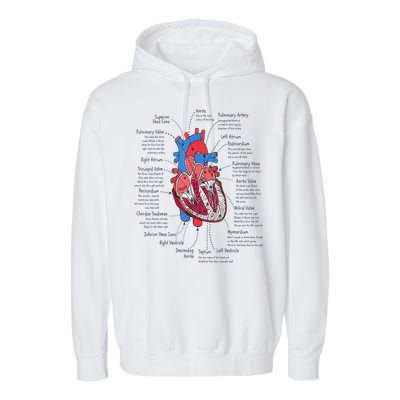 Heart Anatomy CVICU Nurse Cardiac Nurse Garment-Dyed Fleece Hoodie