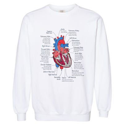 Heart Anatomy CVICU Nurse Cardiac Nurse Garment-Dyed Sweatshirt