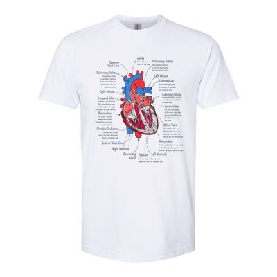 Heart Anatomy CVICU Nurse Cardiac Nurse Softstyle CVC T-Shirt