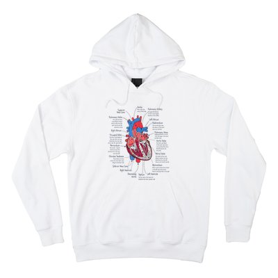 Heart Anatomy CVICU Nurse Cardiac Nurse Hoodie