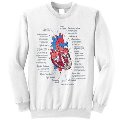 Heart Anatomy CVICU Nurse Cardiac Nurse Sweatshirt