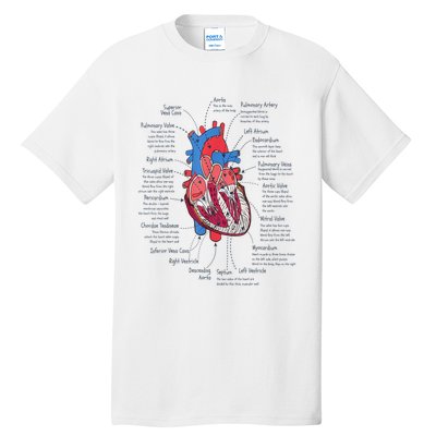 Heart Anatomy CVICU Nurse Cardiac Nurse Tall T-Shirt