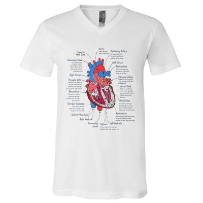 Heart Anatomy CVICU Nurse Cardiac Nurse V-Neck T-Shirt