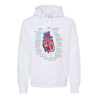 Heart Anatomy CVICU Nurse Cardiac Nurse Premium Hoodie