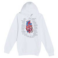 Heart Anatomy CVICU Nurse Cardiac Nurse Premium Pullover Hoodie