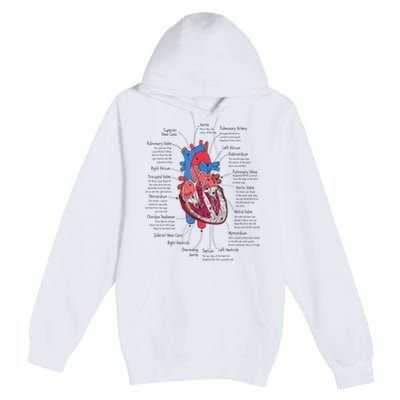 Heart Anatomy CVICU Nurse Cardiac Nurse Premium Pullover Hoodie