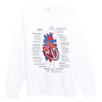 Heart Anatomy CVICU Nurse Cardiac Nurse Premium Crewneck Sweatshirt