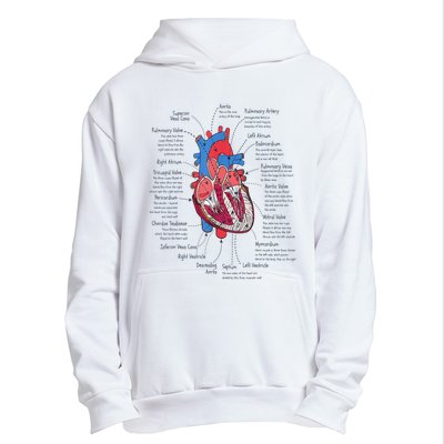 Heart Anatomy CVICU Nurse Cardiac Nurse Urban Pullover Hoodie