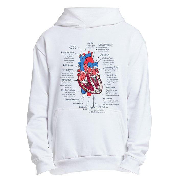 Heart Anatomy CVICU Nurse Cardiac Nurse Urban Pullover Hoodie