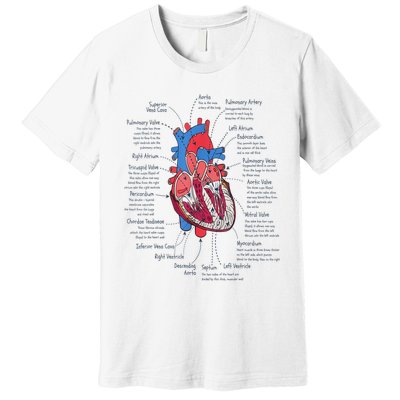 Heart Anatomy CVICU Nurse Cardiac Nurse Premium T-Shirt