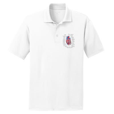 Heart Anatomy CVICU Nurse Cardiac Nurse PosiCharge RacerMesh Polo