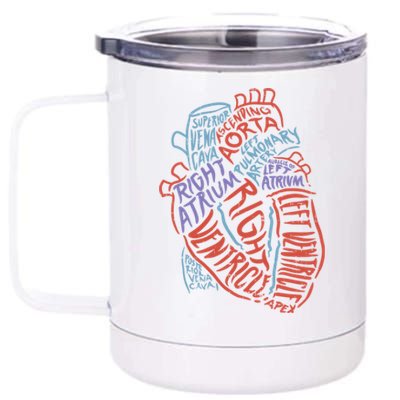 Heart Anatomy Doctor Medical Cardiovascular Biology Student Gift 12 oz Stainless Steel Tumbler Cup