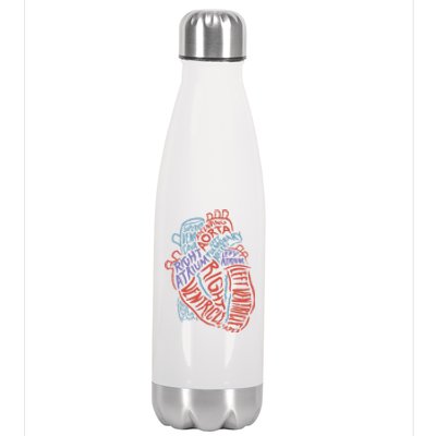 Heart Anatomy Doctor Medical Cardiovascular Biology Student Gift Stainless Steel Insulated Water Bottle