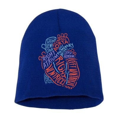 Heart Anatomy Doctor Medical Cardiovascular Biology Student Gift Short Acrylic Beanie