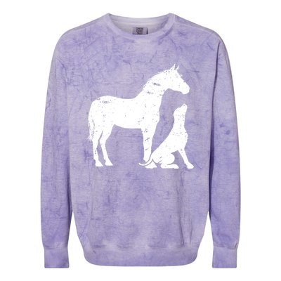 Horse And Dog Motif For Women And Men Horse Dog Lover Gift Colorblast Crewneck Sweatshirt