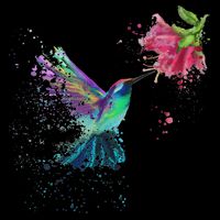 Hummingbird And Flower Bird Watcher Hummingbird Lover Cropped Pullover Crew