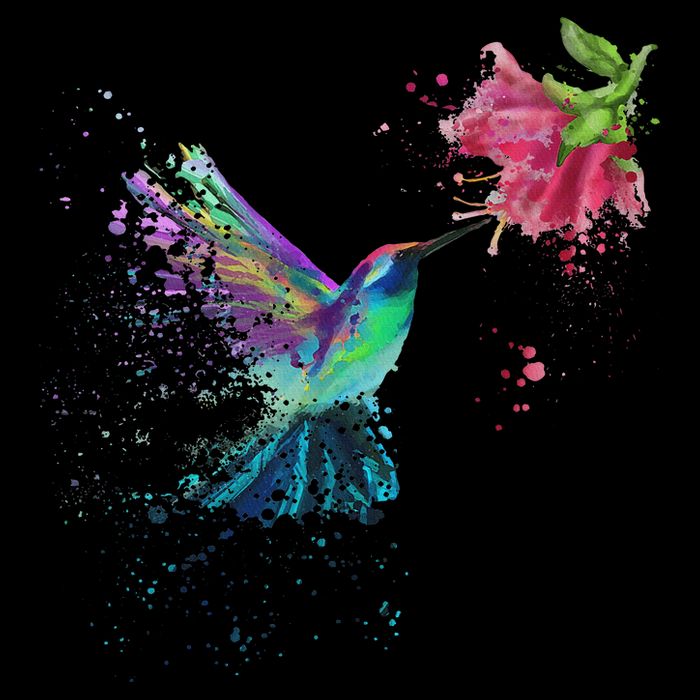 Hummingbird And Flower Bird Watcher Hummingbird Lover Cropped Pullover Crew