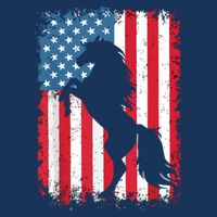 Horse American Flag USA 4th Of July Men Women Boy Girl Premium T-Shirt