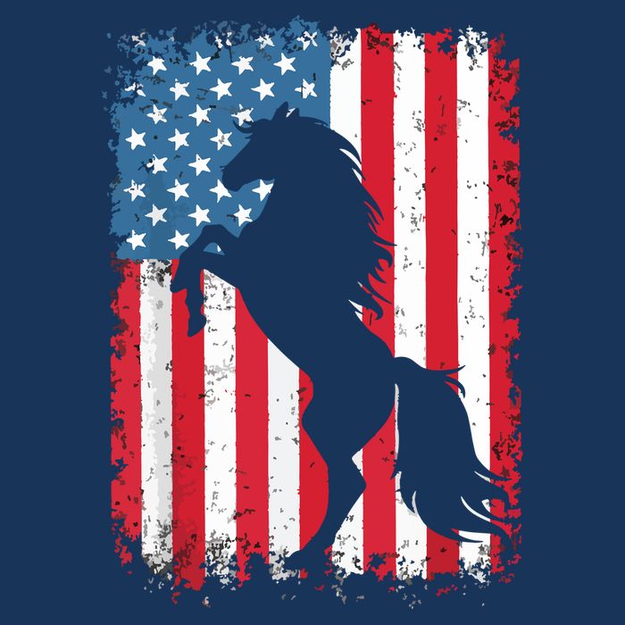Horse American Flag USA 4th Of July Men Women Boy Girl Premium T-Shirt