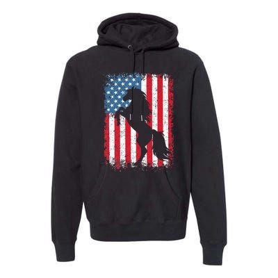 Horse American Flag USA 4th Of July Men Women Premium Hoodie